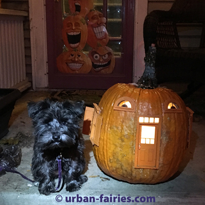 fairy door, Pumpkin, fairy jack-o-lantern, urban-fairies