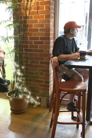 fairy door jonathan b wright